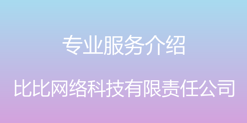 专业服务介绍 - 比比网络科技有限责任公司