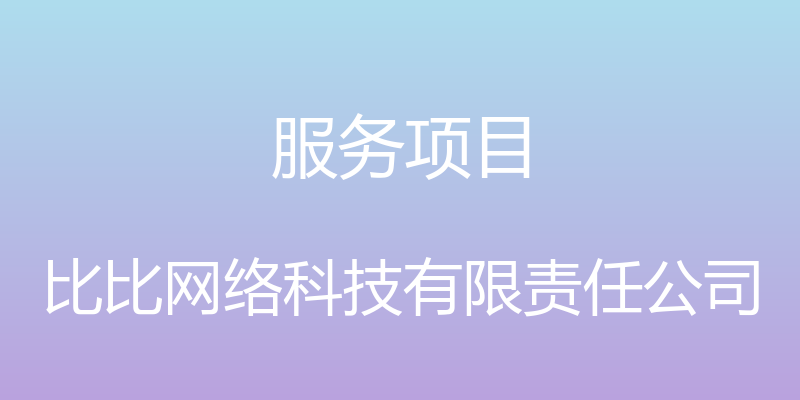 服务项目 - 比比网络科技有限责任公司