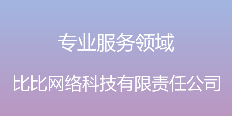 专业服务领域 - 比比网络科技有限责任公司