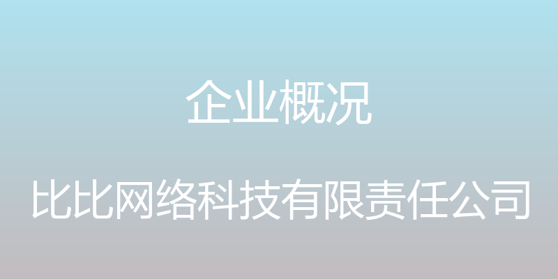 企业概况 - 比比网络科技有限责任公司